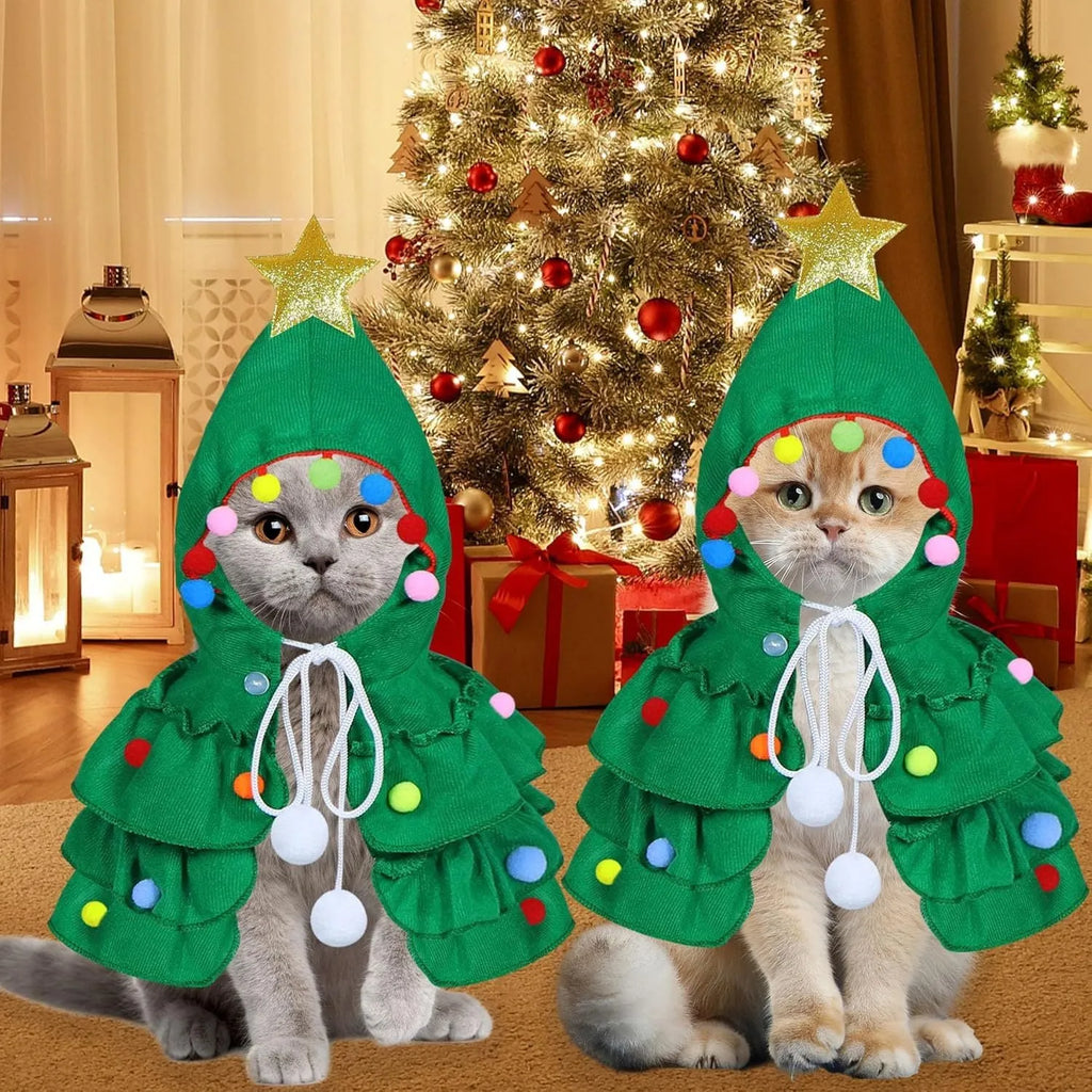 Cat wearing Christmas tree costume with star ornament in green