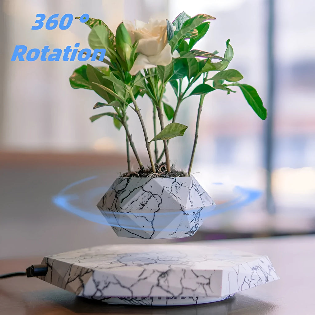 Marbling colour magnetic levitating plant pot floating with bonsai in modern home setting