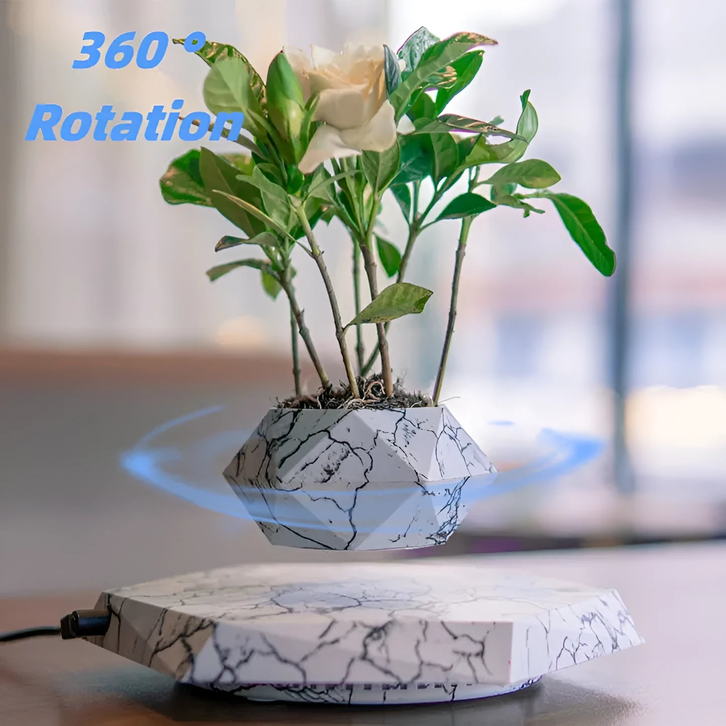 Marbling colour magnetic levitating plant pot floating with bonsai in modern home setting