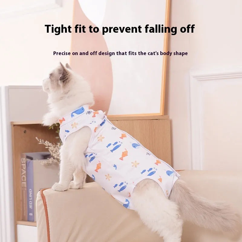 Cat wearing a printed post-operative sterilisation suit with Velcro fastenings.