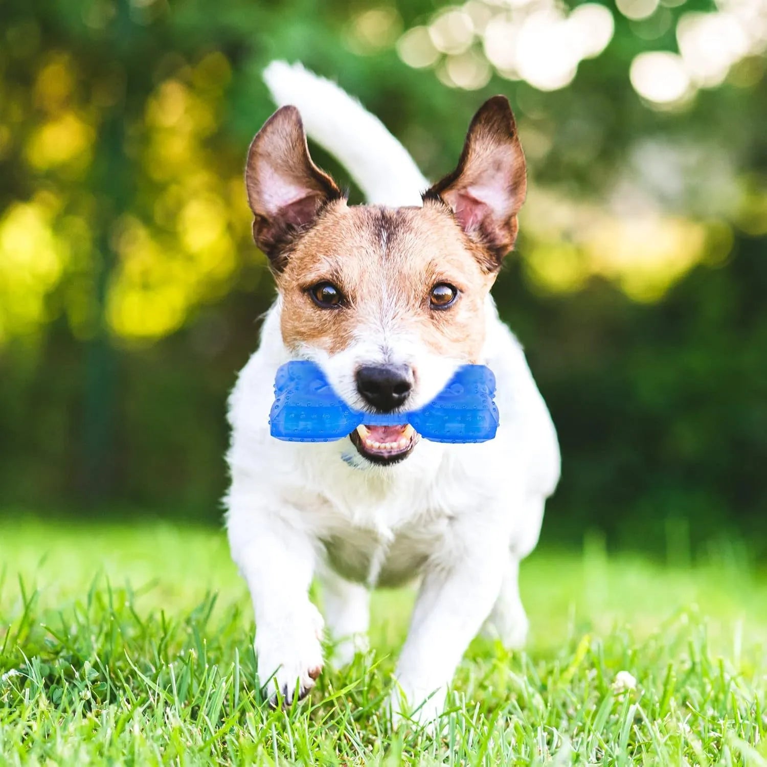 Blue freezable dog chew toy in bone and circle shapes for teething and cooling relief.