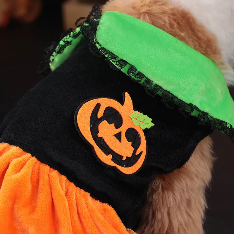 Orange crystal velvet Halloween pumpkin skirt costume on a small white dog.