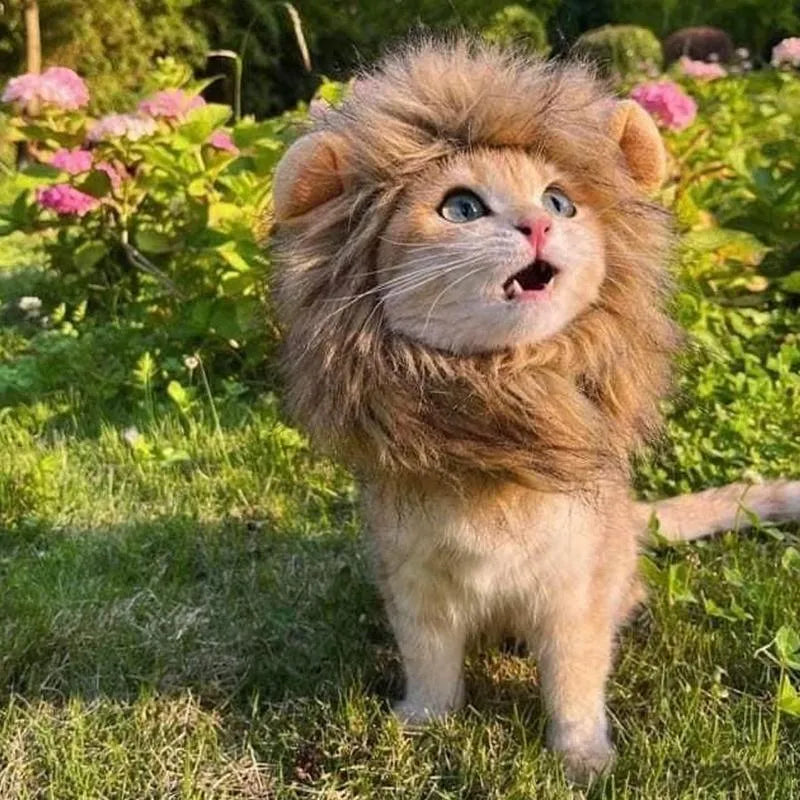 Lion mane wig costume accessory for cats and small dogs with artificial hair and adjustable elastic band
