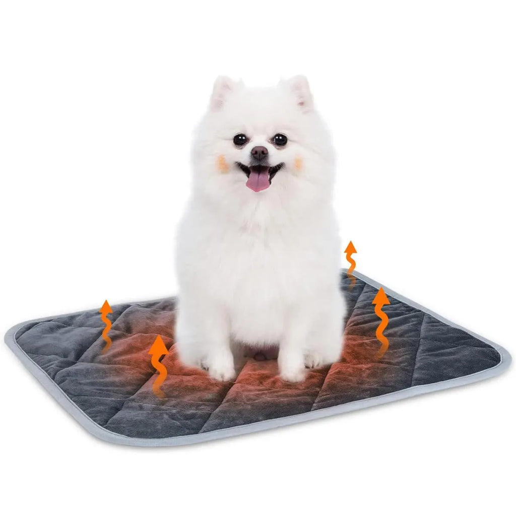 Grey cloth pet cushion shown in a home setting, available in multiple size options.