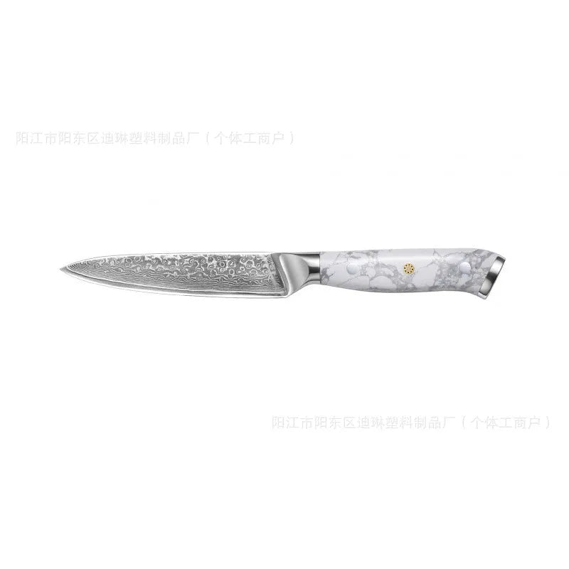 Damascus pattern VG10 steel combined chef knife with 21cm blade and 11cm modern handle