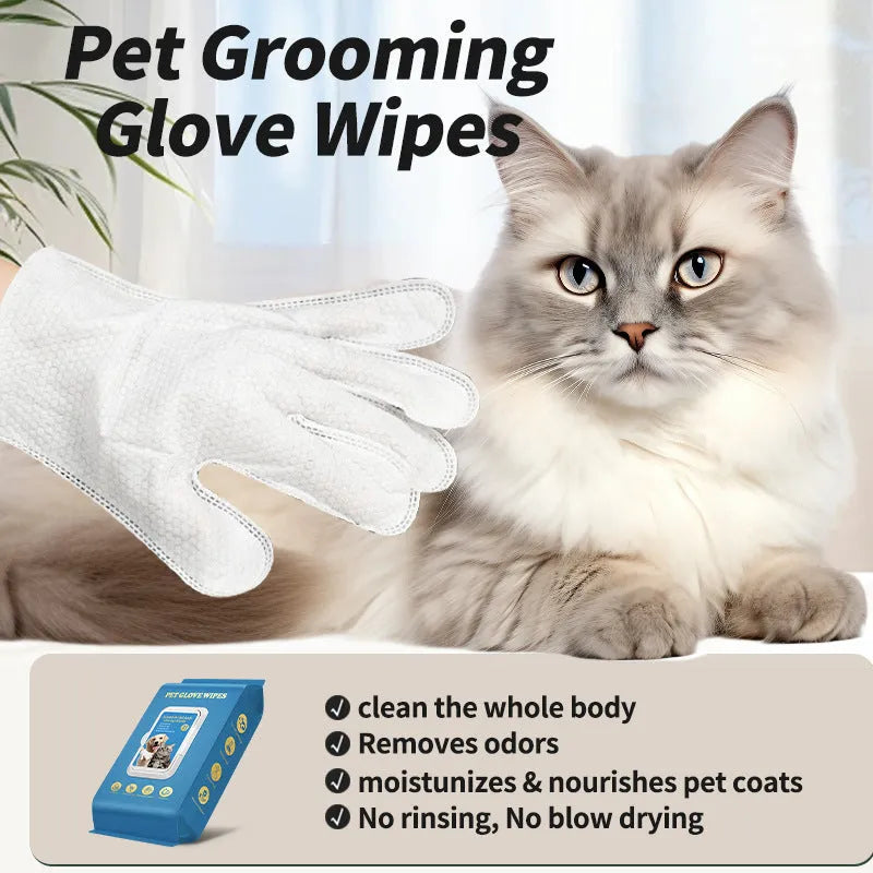 Pet disposable gloves for cat bath cleaning and pet supplies maintenance