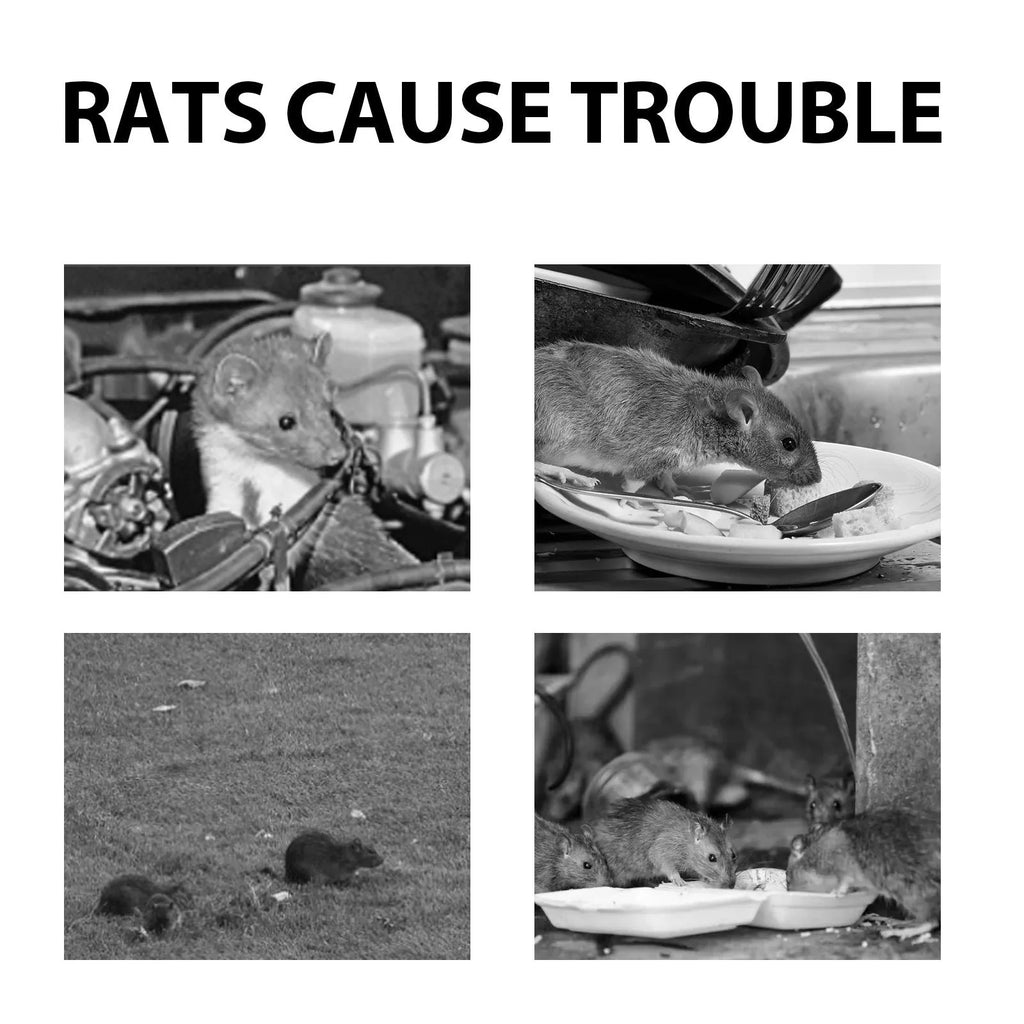 60ml bottle of natural rat repellent spray with a blend of clove, peppermint, camphor and chilli oils.