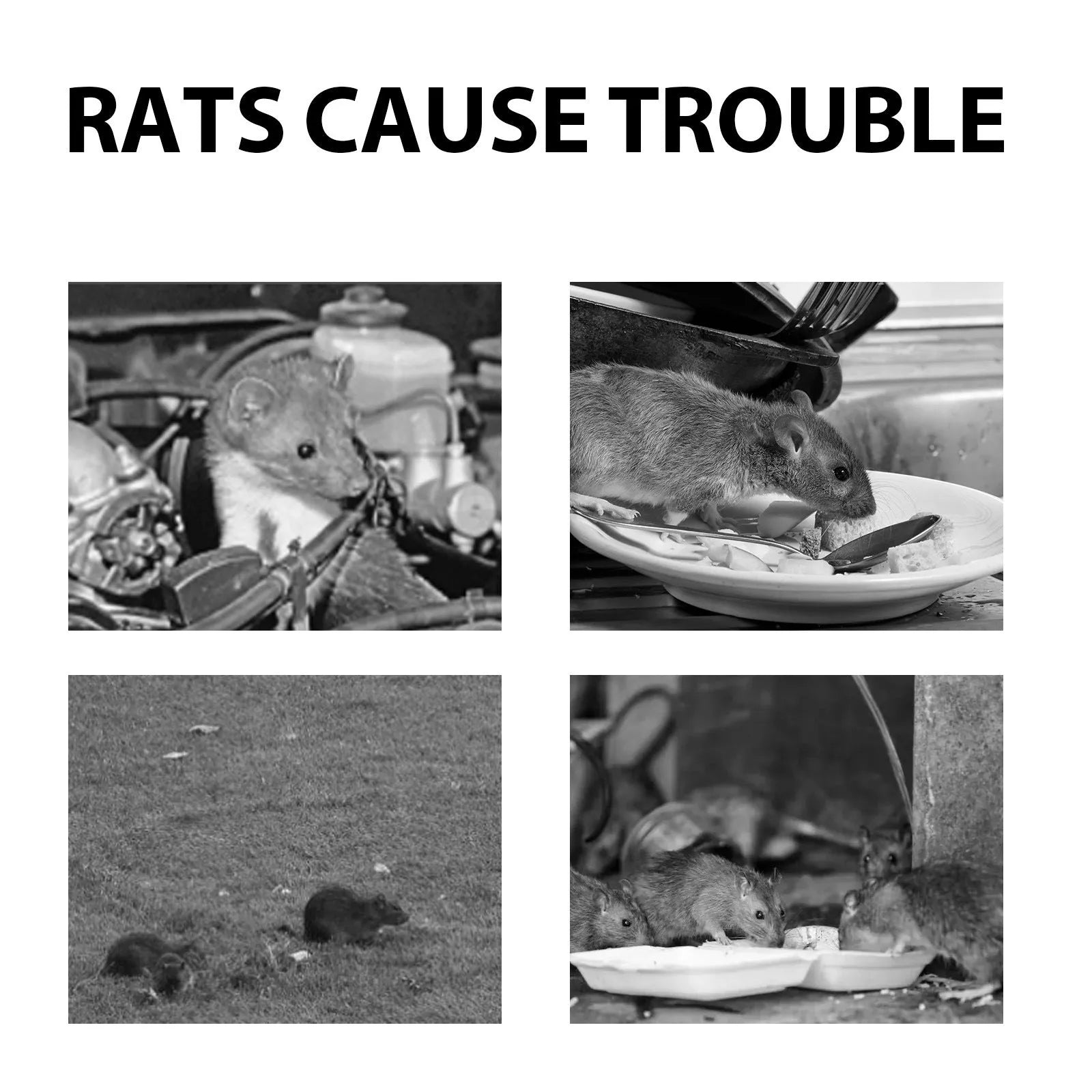 60ml bottle of natural rat repellent spray with a blend of clove, peppermint, camphor and chilli oils.