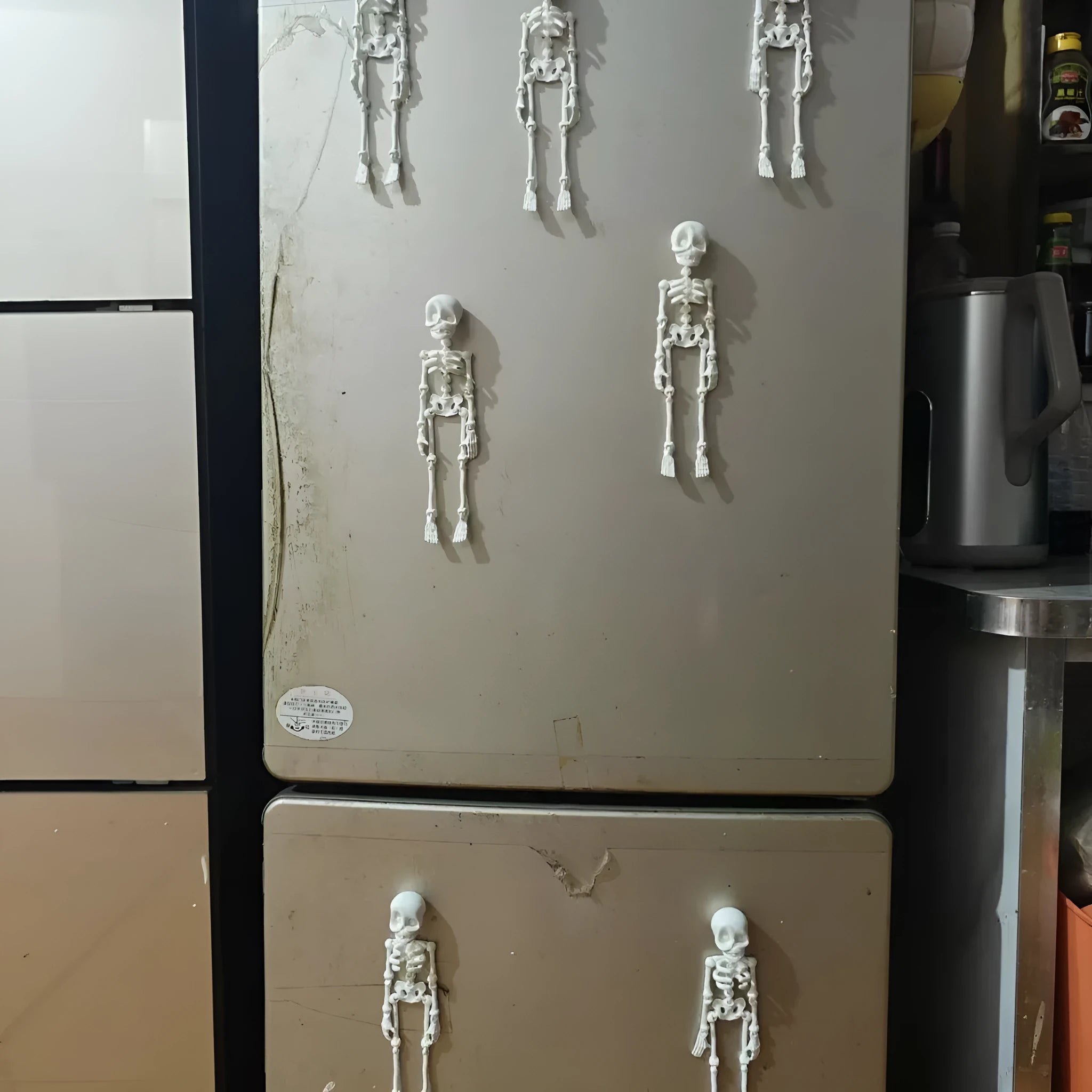 3D printed skull refrigerator magnet in multiple colour options showing 18cm height dimensions