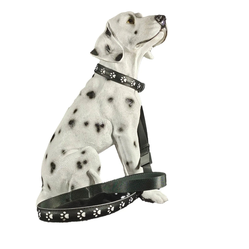 USB rechargeable LED dog collar glowing with multiple colours on an adjustable polyester strap.