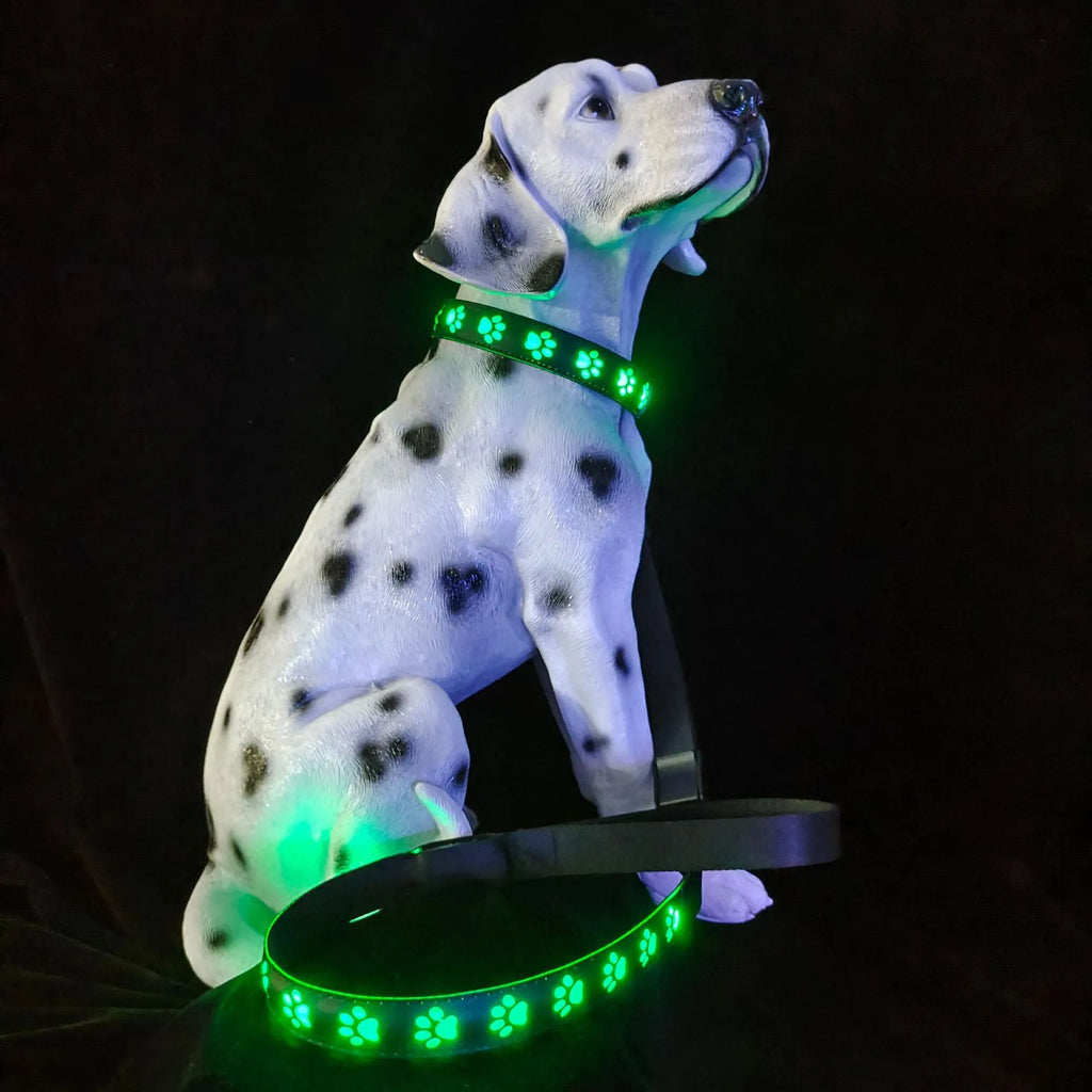 USB rechargeable LED dog collar glowing with multiple colours on an adjustable polyester strap.