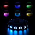 USB rechargeable LED dog collar glowing with multiple colours on an adjustable polyester strap.
