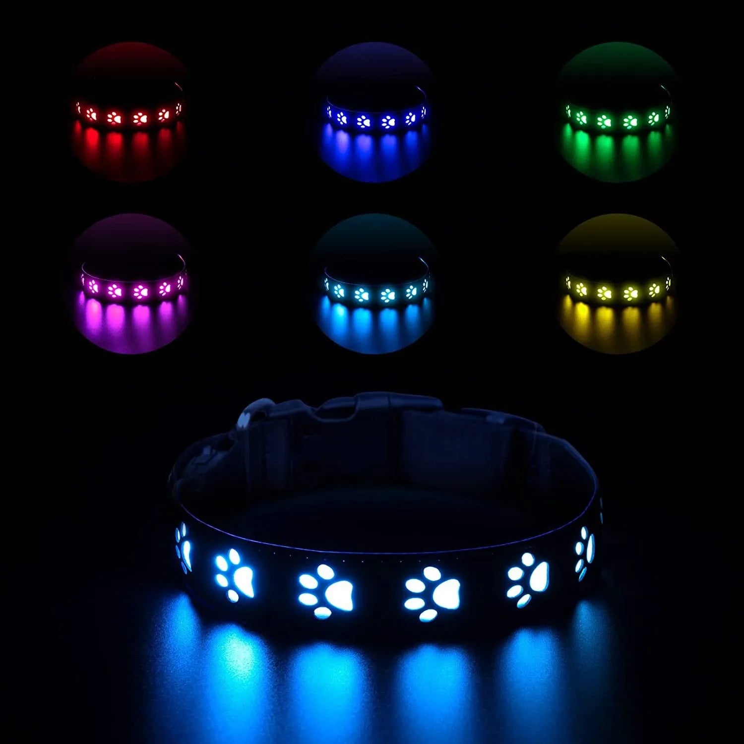 USB rechargeable LED dog collar glowing with multiple colours on an adjustable polyester strap.