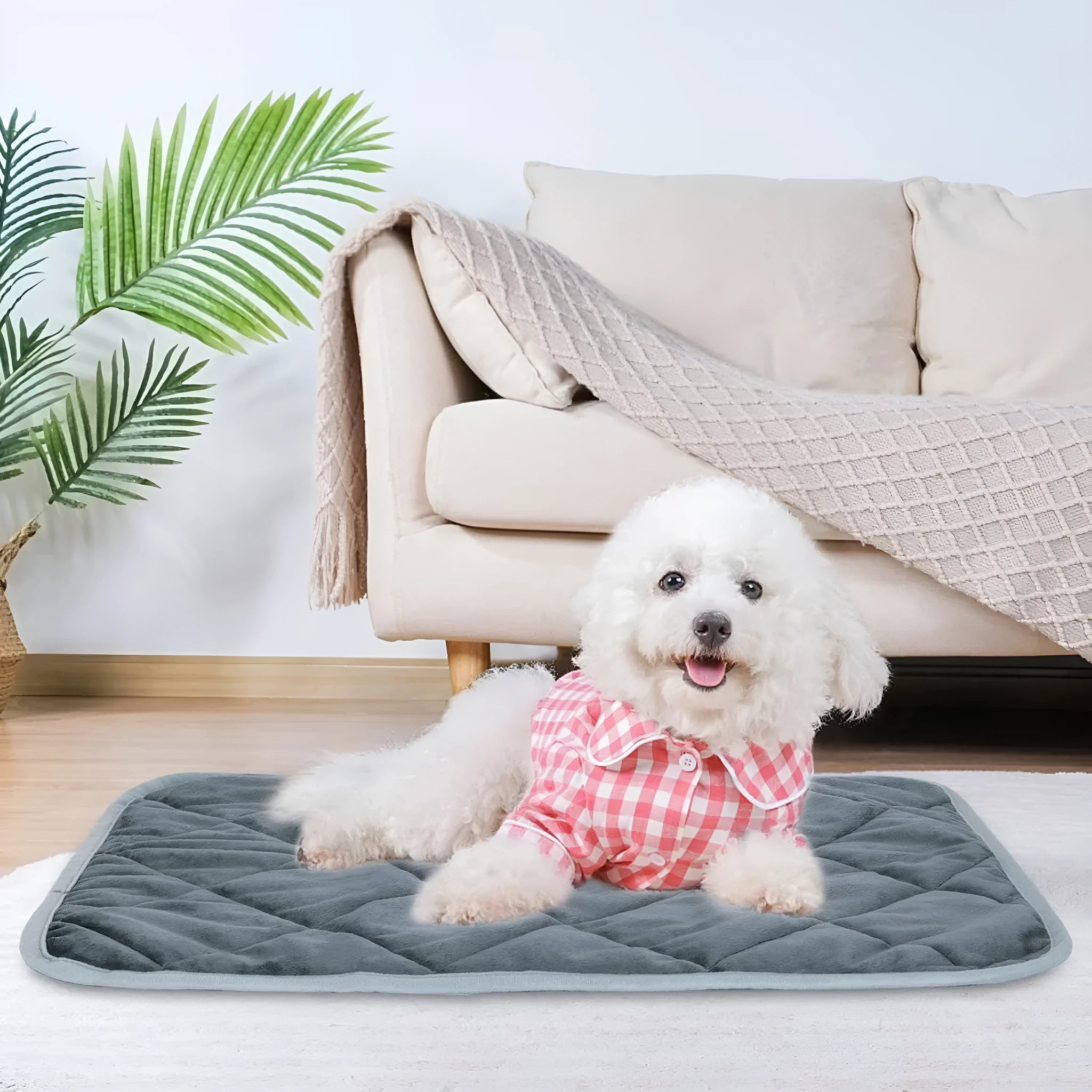 Grey cloth pet cushion shown in a home setting, available in multiple size options.