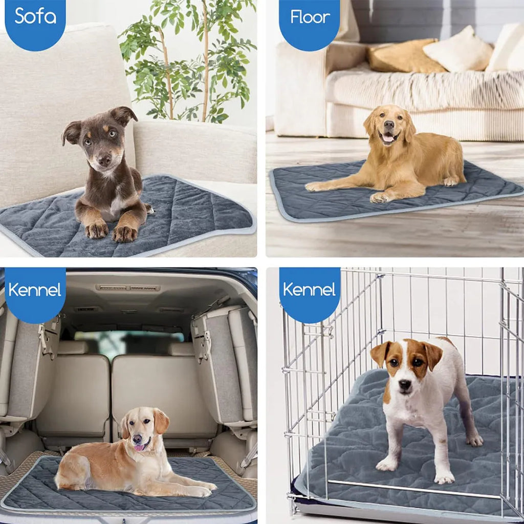 Grey cloth pet cushion shown in a home setting, available in multiple size options.
