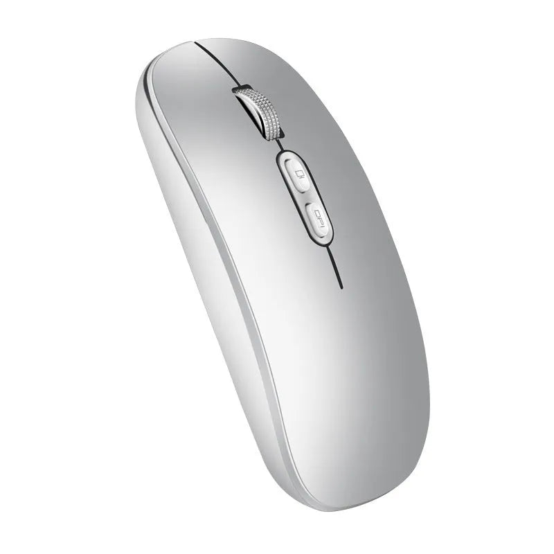 Wireless rechargeable mouse 1600DPI silent mini 2.4GHz black and silver grey with receiver and charging cable