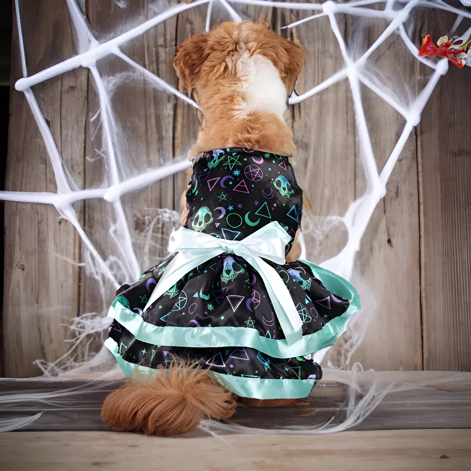A double-layer Halloween pet skirt for dogs in a colourful pumpkin print, shown in size M.