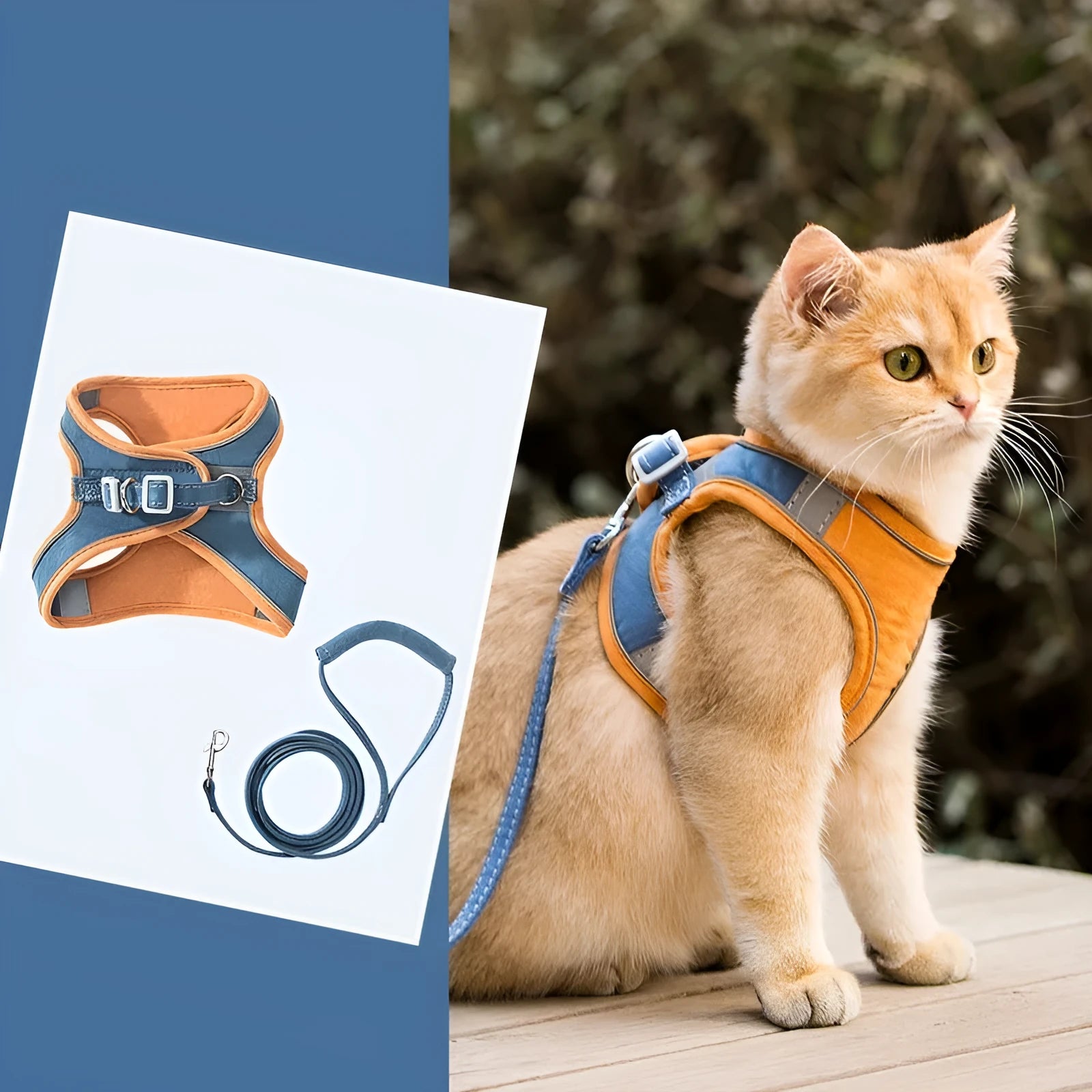 Blue and orange stitched reflective suede cat walking harness with a separate 1.5 metre rope.