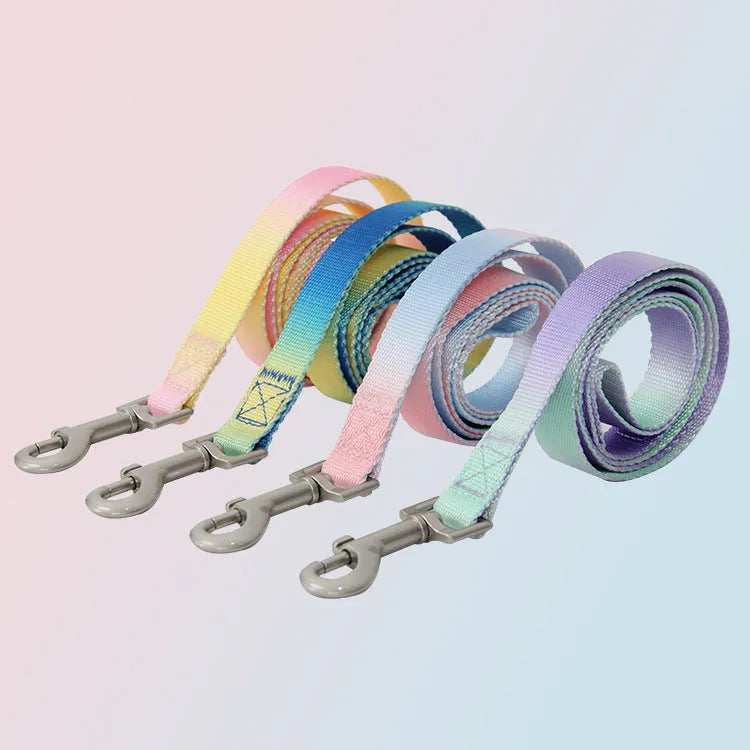 Gradient colour nylon dog leash and collar set in pink and blue combination