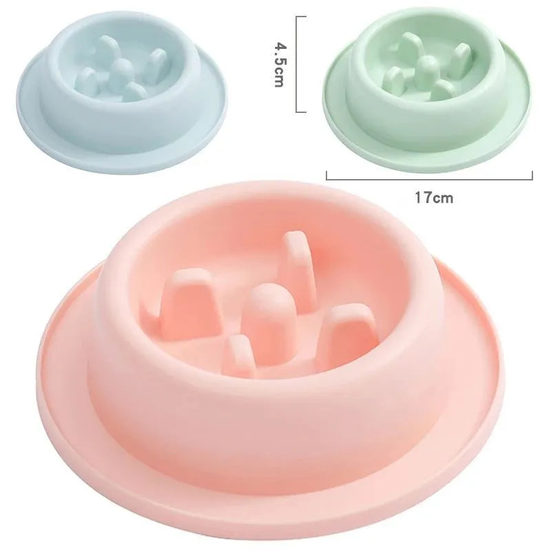 PP plastic slow feeder pet bowl in macaroon colour with raised feeding obstacles