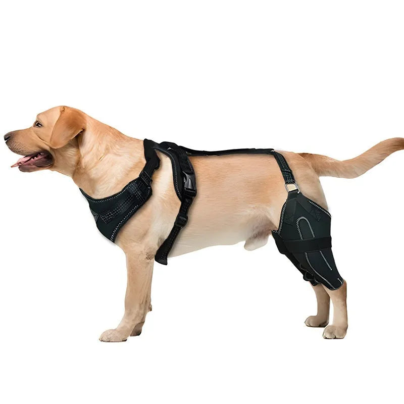 Black dog thigh protective sleeve with adjustable metal brace for postoperative recovery in medium size