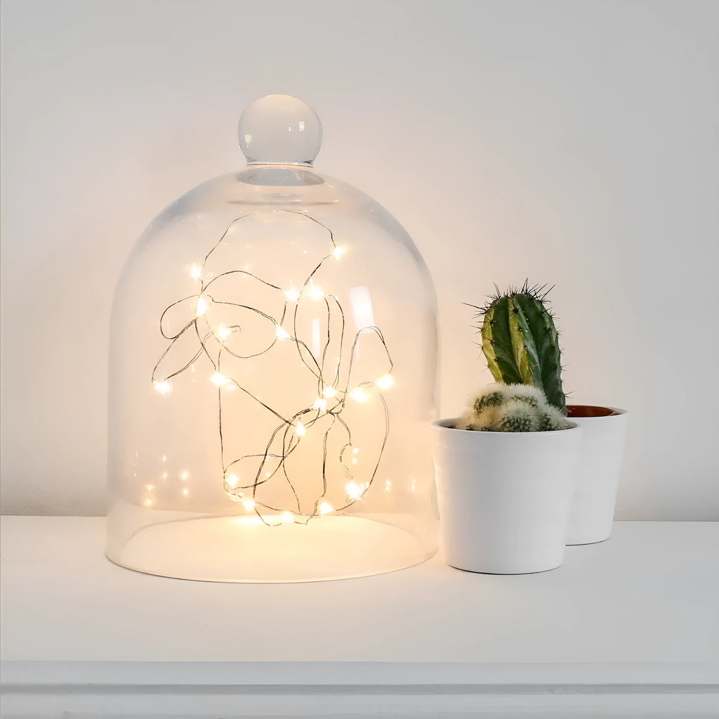 Copper wire LED fairy lights with battery box in warm white or white light colour, 2 metre length with 20 lights