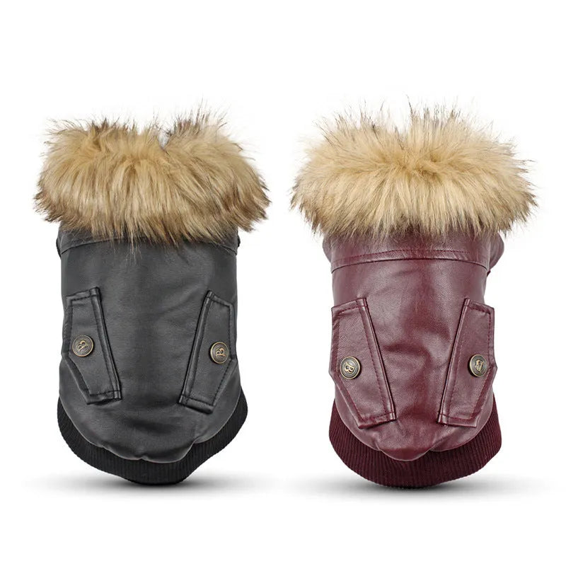 British style leather dog coat with faux fur collar in black colour