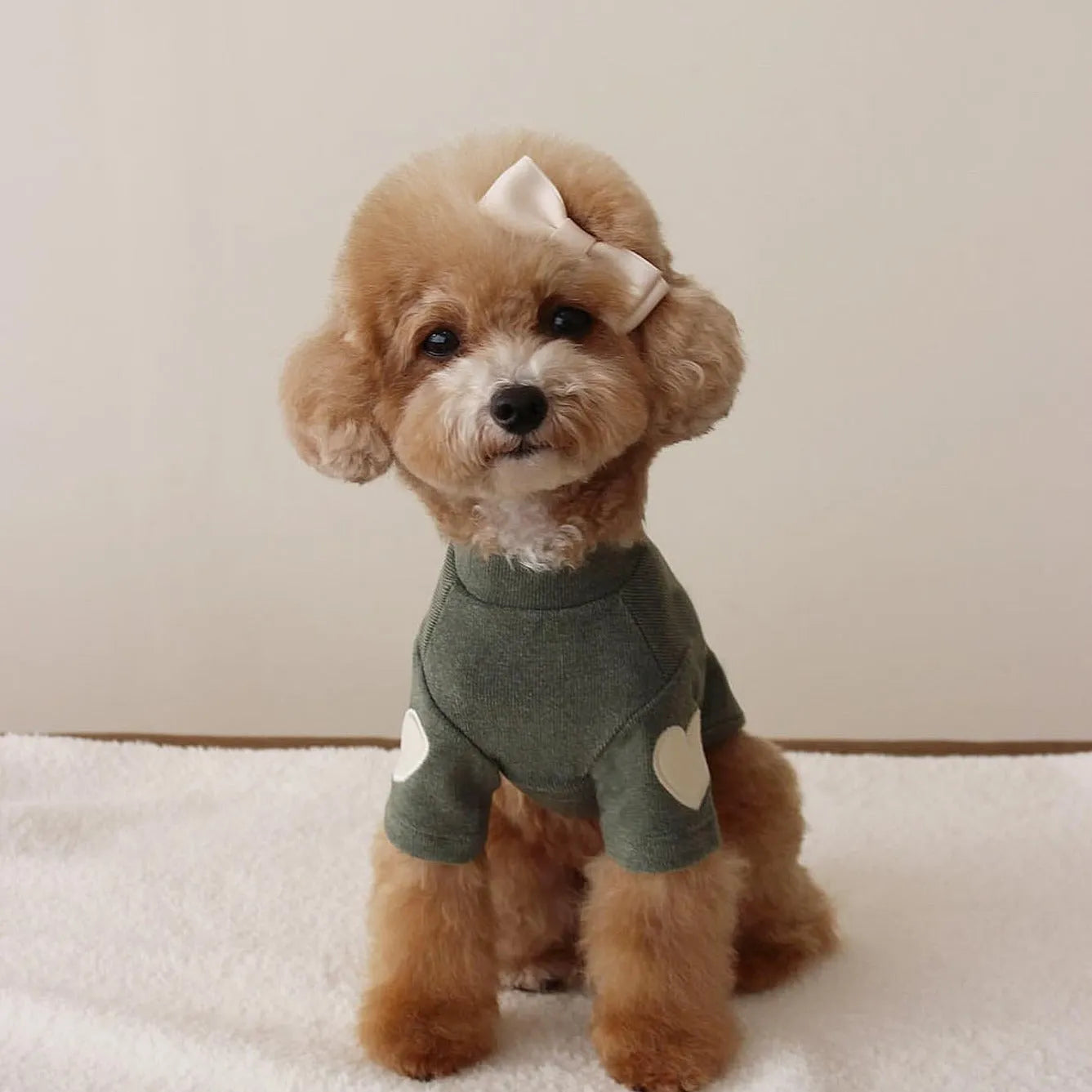Autumn winter dog sweater in beige with embroidered design, suitable for small to large pets