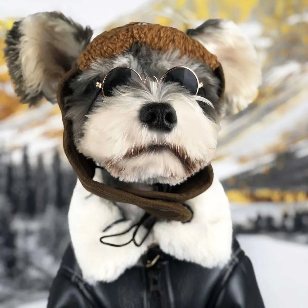 Leather dog jacket for autumn winter pet clothing in black brown or vest styles