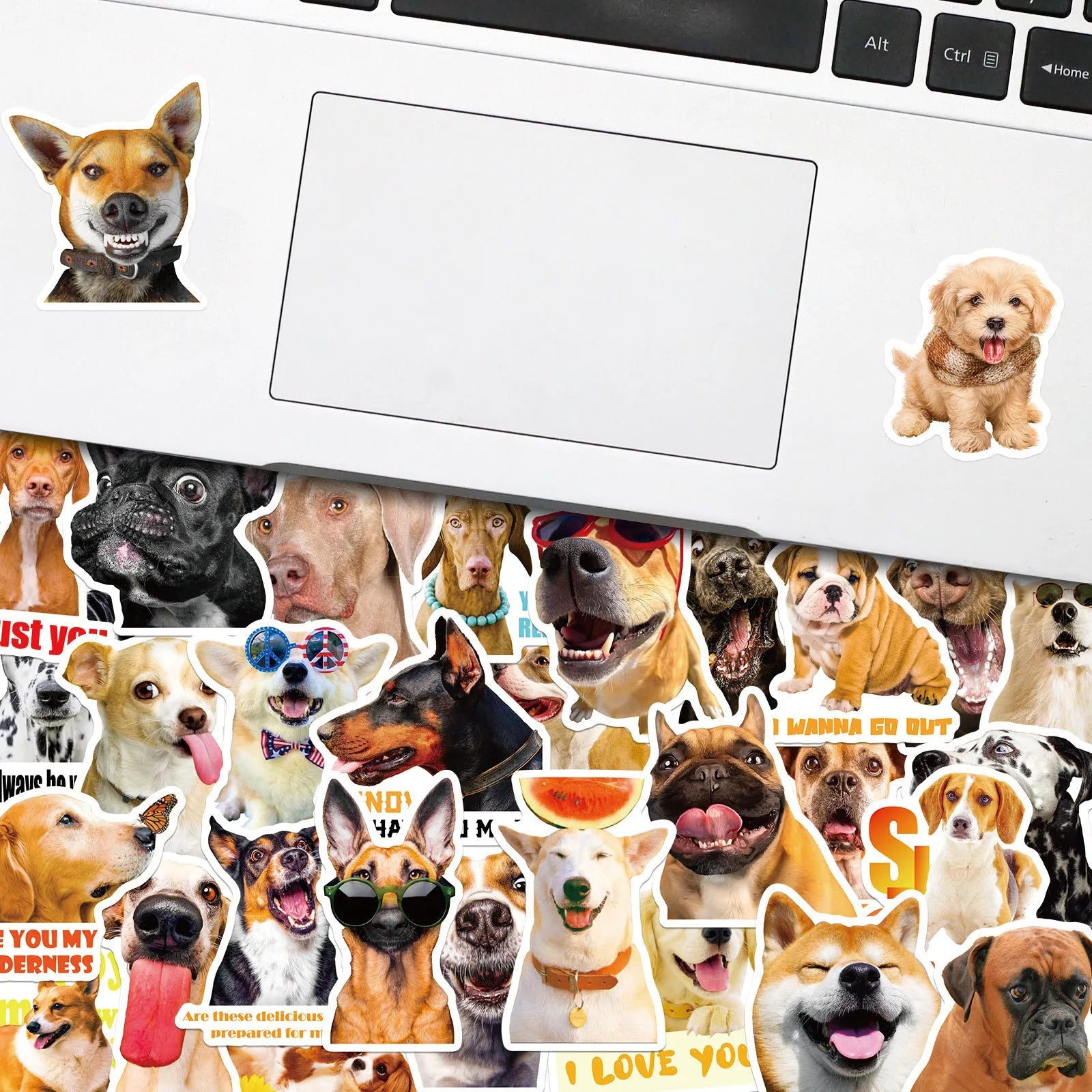Pack of 100 realistic dog facial expression sticker sheets in Nordic design style.