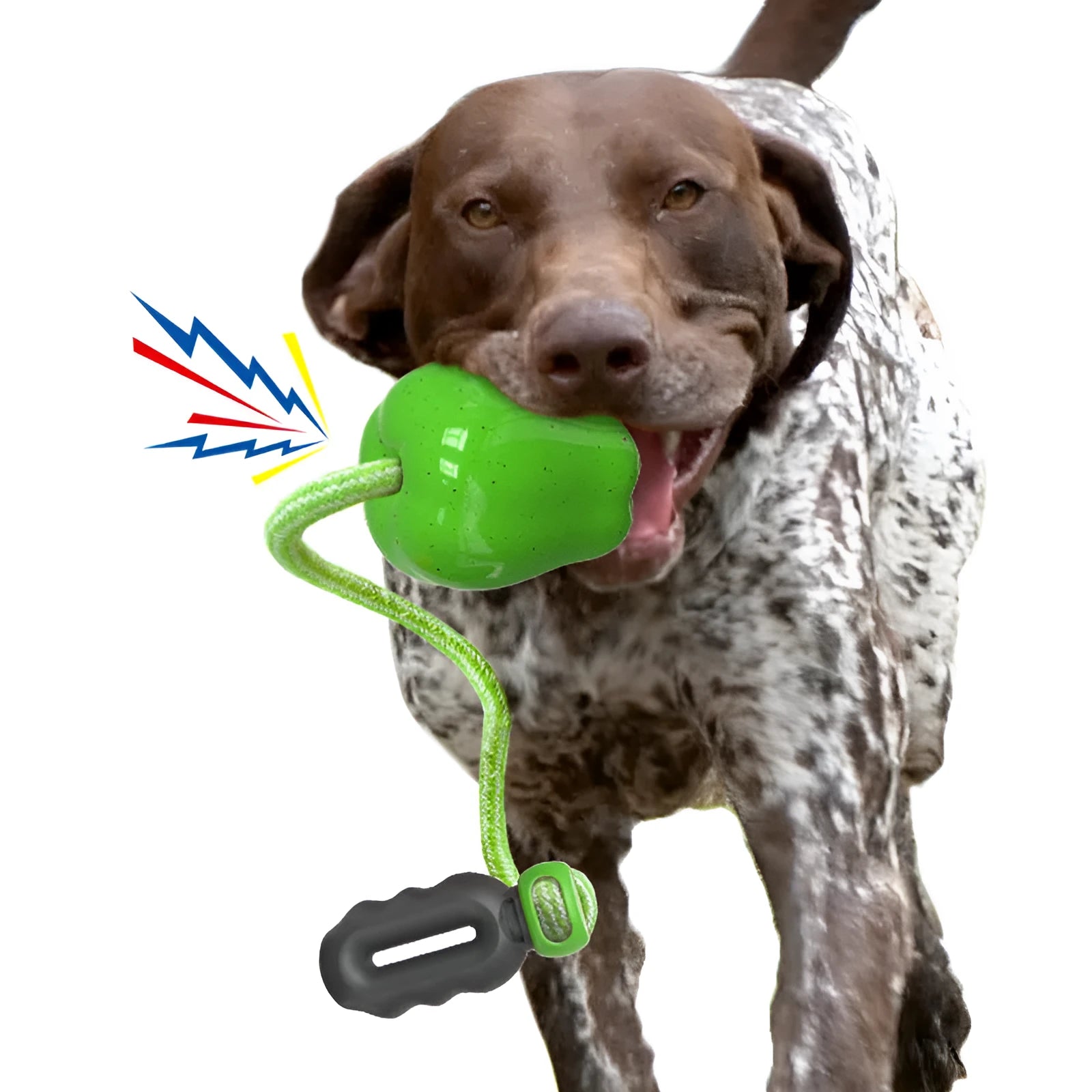Green plastic apple-shaped dog chew toy with a squeaker on a grass background.