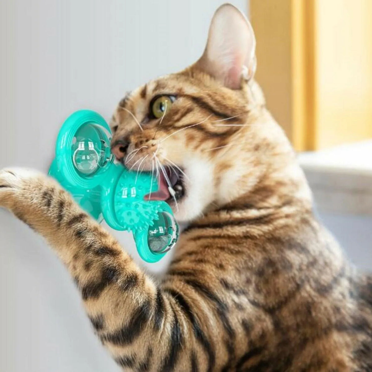 Windmill cat toy with suction cup, rotating spinner, LED ball, and catnip balls for indoor cats