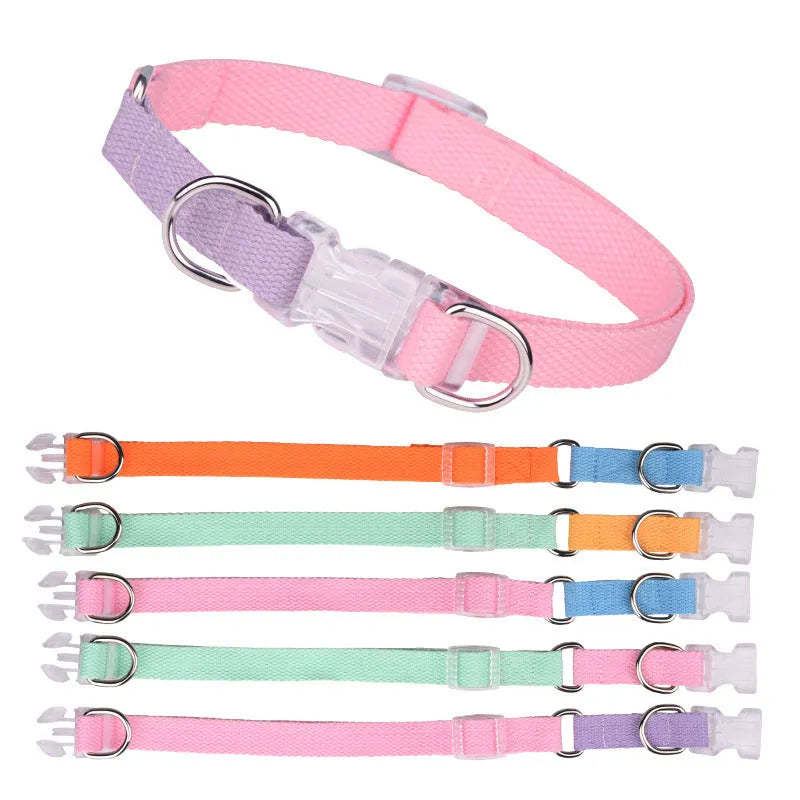 Polyester ribbon dog collar, leash and harness set in five colour options with three size choices