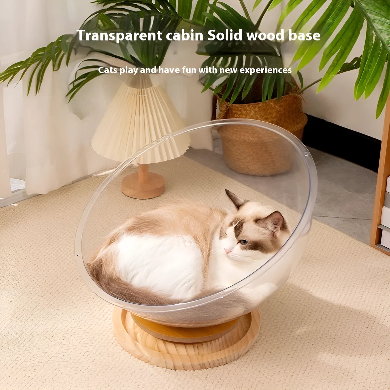 Transparent acrylic space capsule cat bed with a turntable base on a wooden floor.