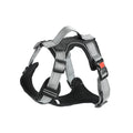 Adjustable polyester dog harness in multiple colours with chest strap and optional hand-holding rope