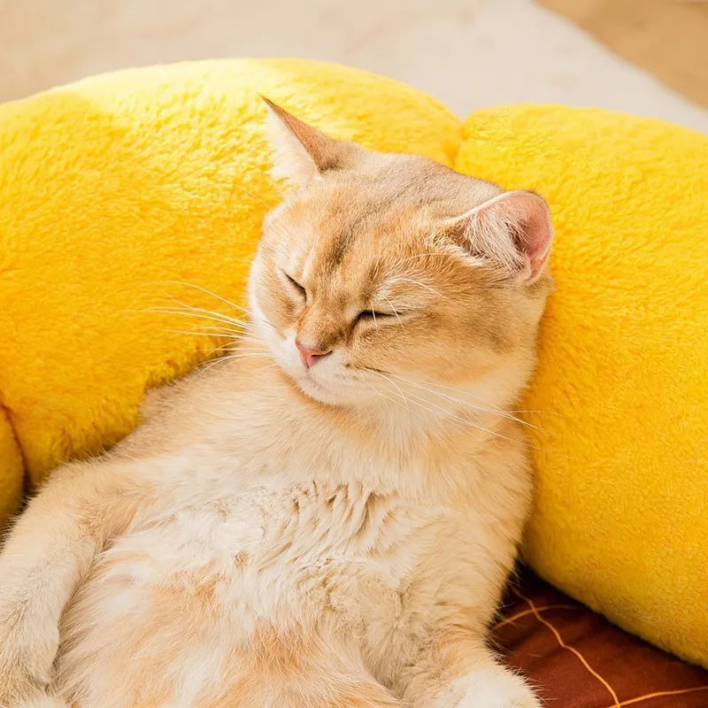 Cat nest mat in PV velvet crystal super soft fabric with cushion, available in green dinosaur colour