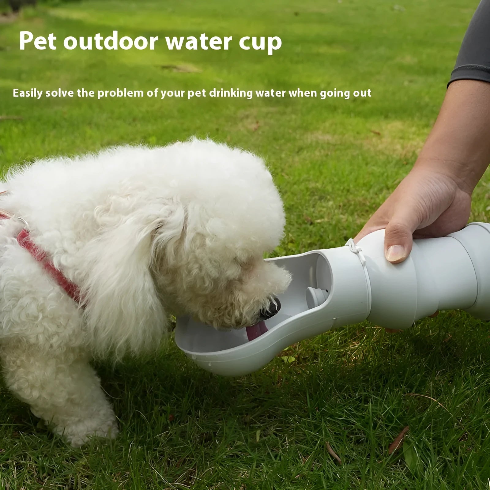 Collapsible silicone pet drinking cup shown folded and unfolded with packaging options