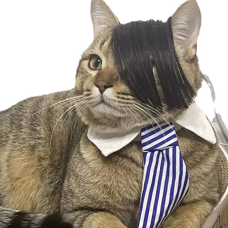 Black polyester cat wig with imitation braid for fox fancy dress costume.