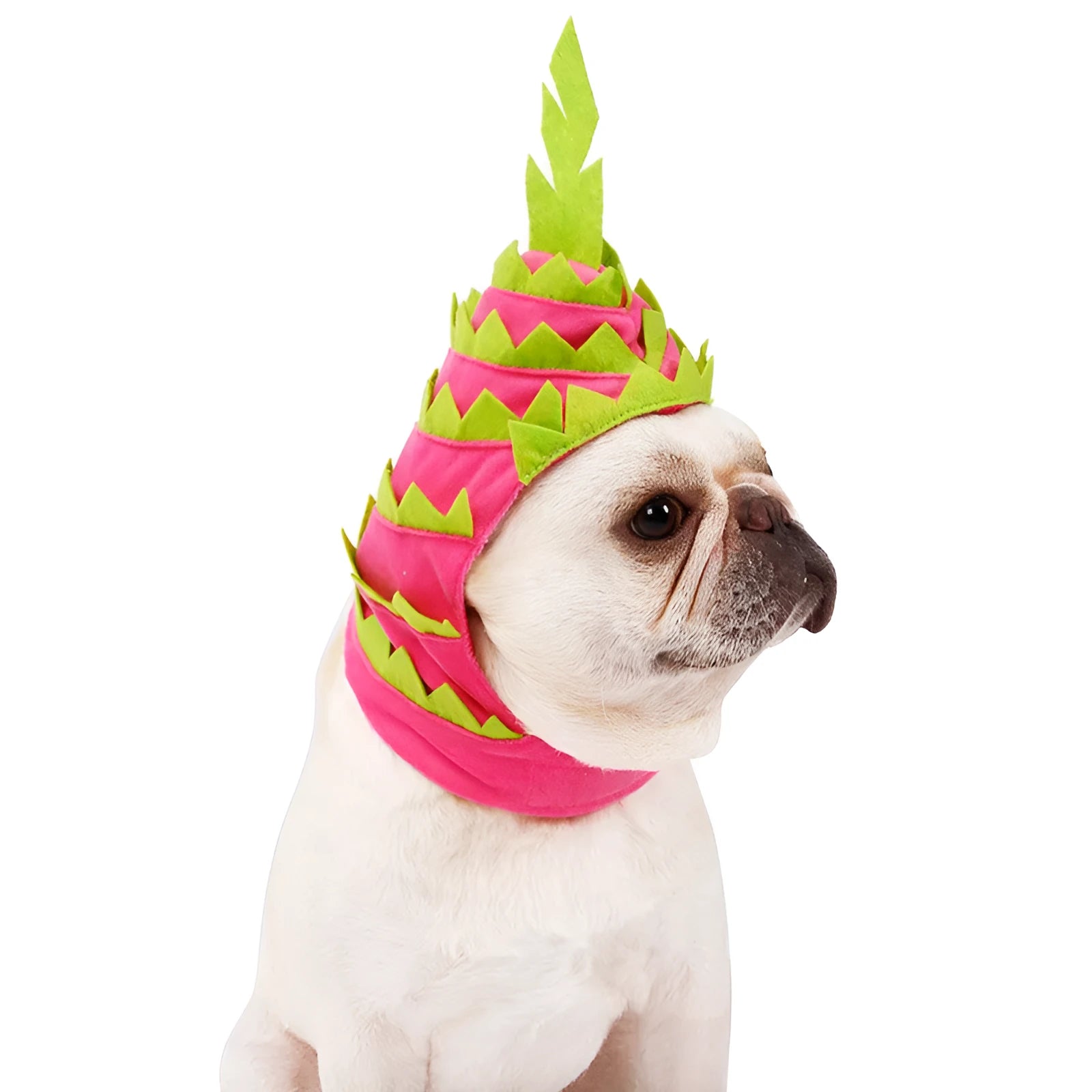 Pitaya fruit design pet hat in pink and green, soft velvet with felt embellishment, side view on a dog