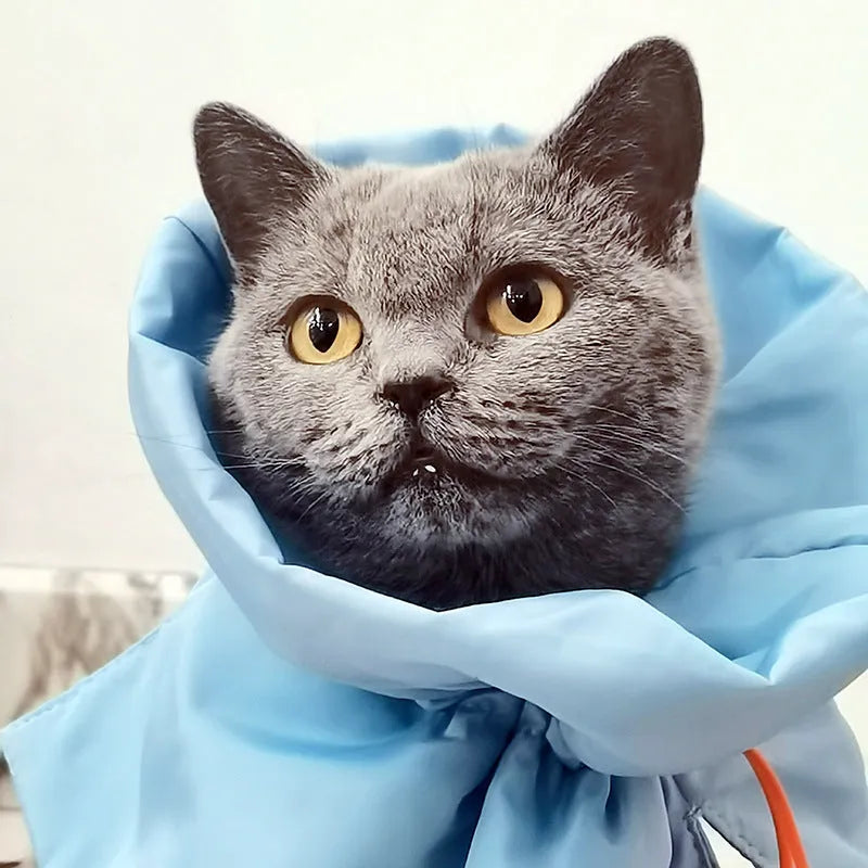 Soft light blue adjustable polyester cat recovery collar with elastic buckle on a flat surface.