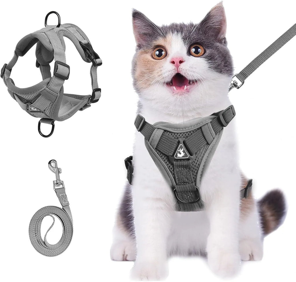 Adjustable soft mesh cat harness and leash set with reflective strips shown in blue, coffee, and grey colours.