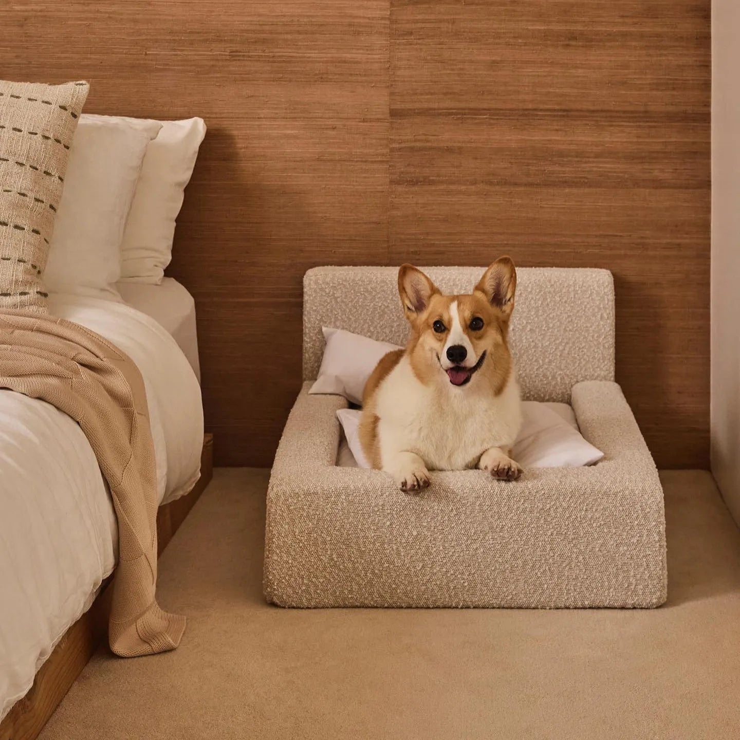White rectangular dog mat with backrest and sponge filling in L size on a floor