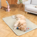 Pet Mat Dog Sleeping Non Slip Ice Cushion Summer Ice Cream Colour Available in S M L XL XXL Sizes 45x35 to 120x90 cm Rattan Mat Sponge Cloth Construction