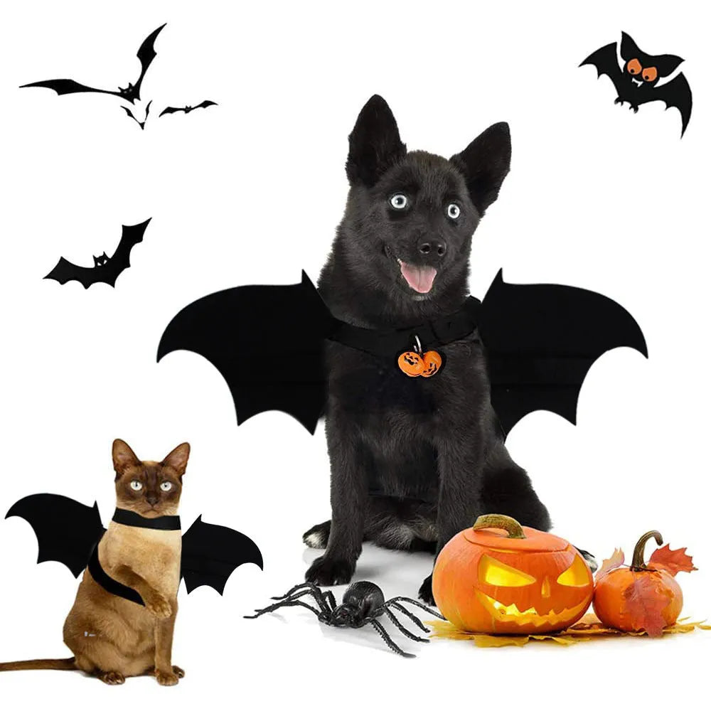 Pet dog or cat wearing a cloth bat-wing print costume with bell on a plain background