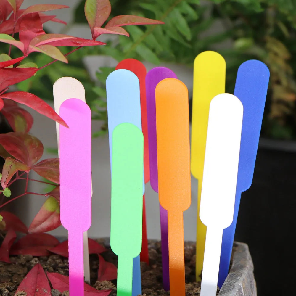 Horticultural Succulents waterproof sunscreen garden pot label 100PCS PP material 12 x 1.5 cm in various colours