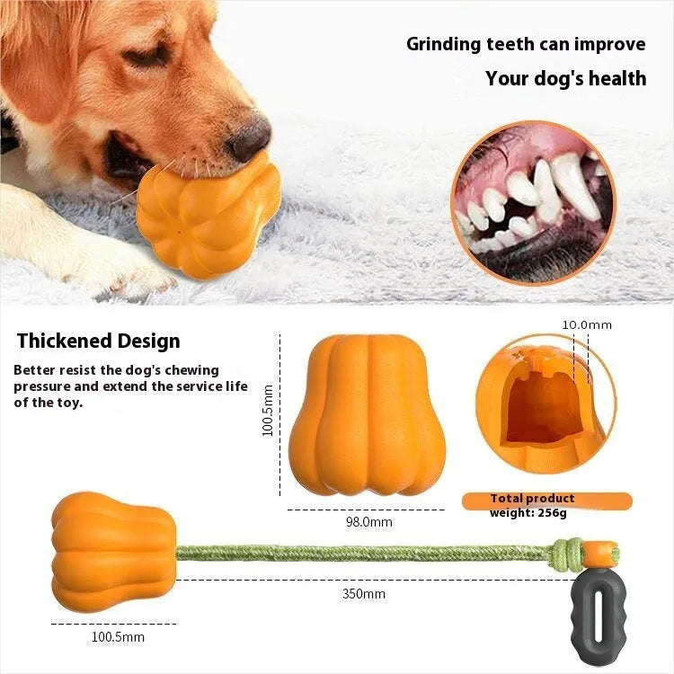 Orange plastic dog molar chew toy with a built-in rope for tugging and fetch.