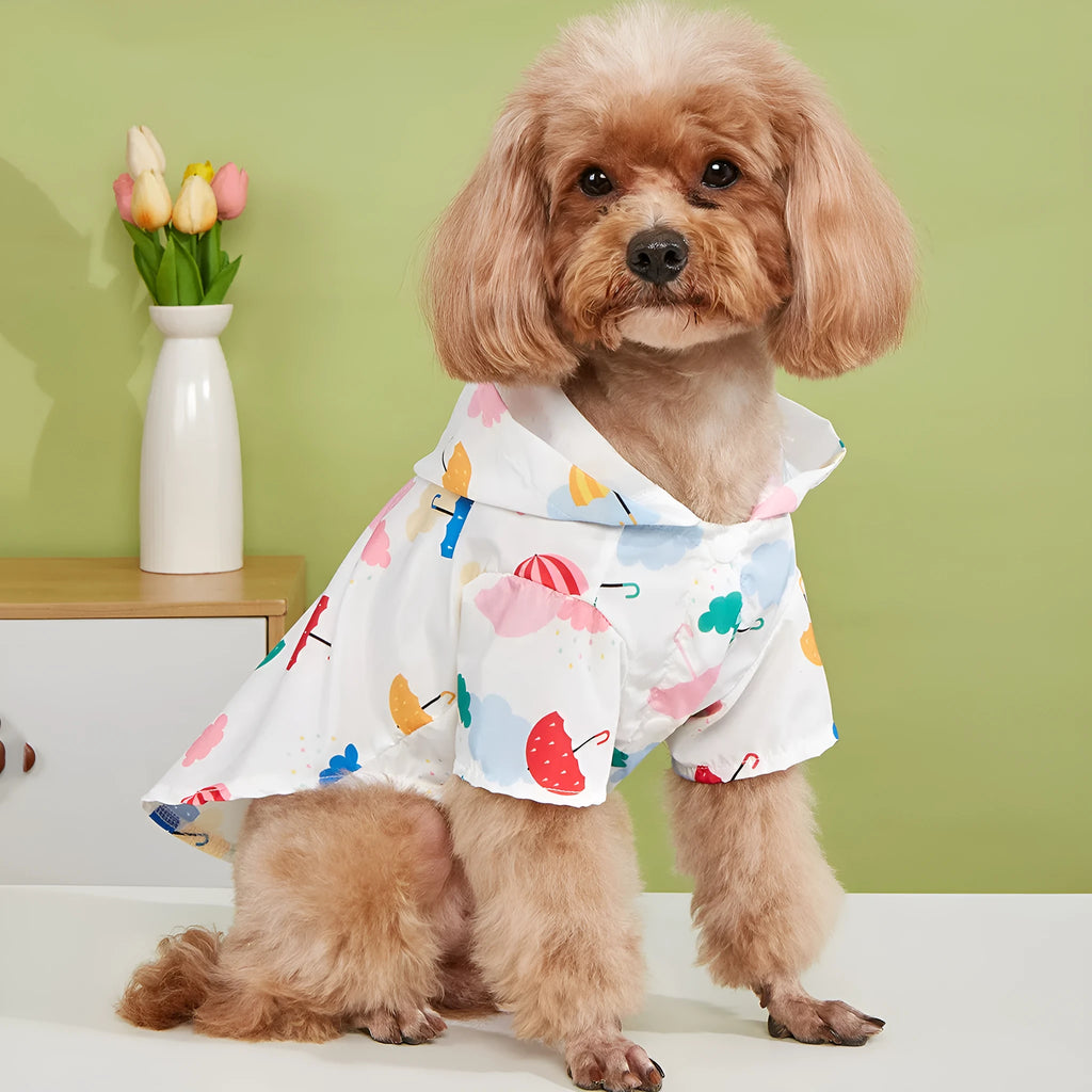 Colourful cartoon umbrella pattern pet raincoat for a small dog, shown in size L.