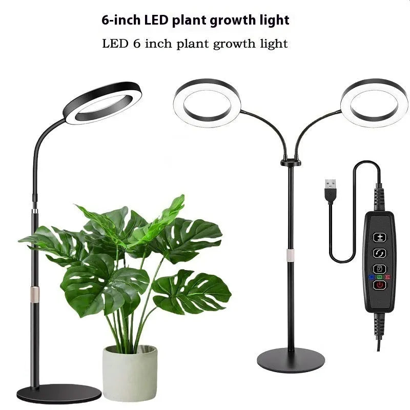 6-inch diameter Angel Ring grow light on a retractable floor stand, for indoor houseplants.