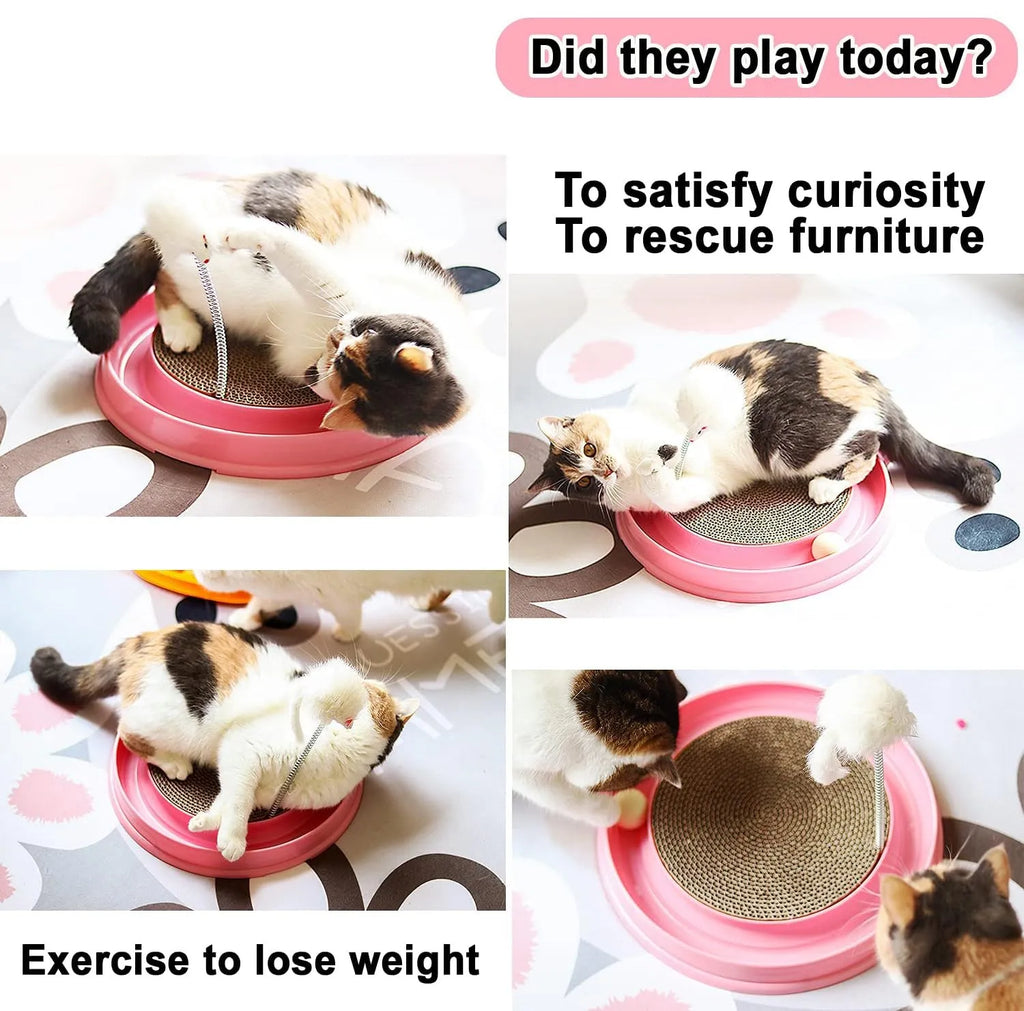 Blue interactive cat scratcher toy with ball track and replaceable cardboard scratching surface