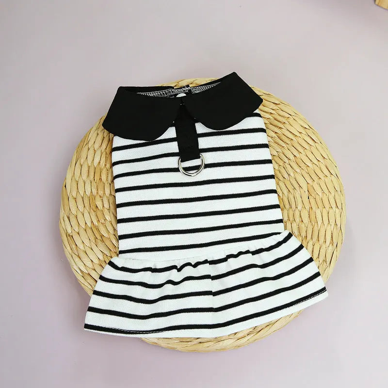 Cotton striped T-shirt and matching skirt set for a pet dog on a white background.